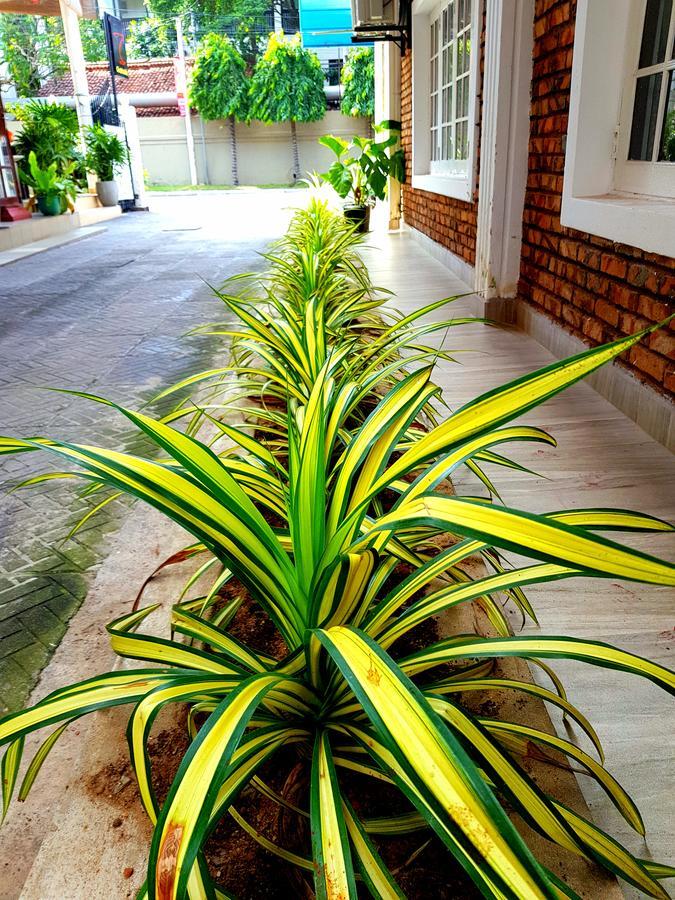 Oasis Beach Hotel Negombo Exterior photo